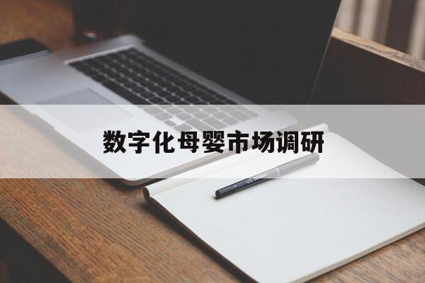 兴义市数字化母婴市场调研(数字化母婴市场调研报告)