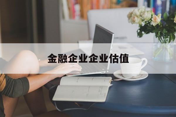 兴义市金融企业企业估值(最新企业估值怎么填)